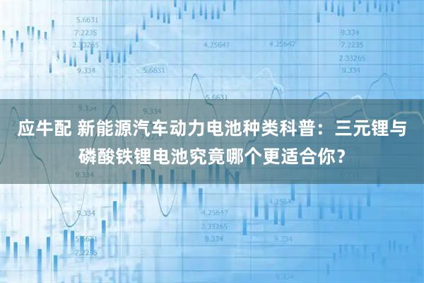 应牛配 新能源汽车动力电池种类科普:三元锂与磷酸铁锂电池究竟哪个更适合你?