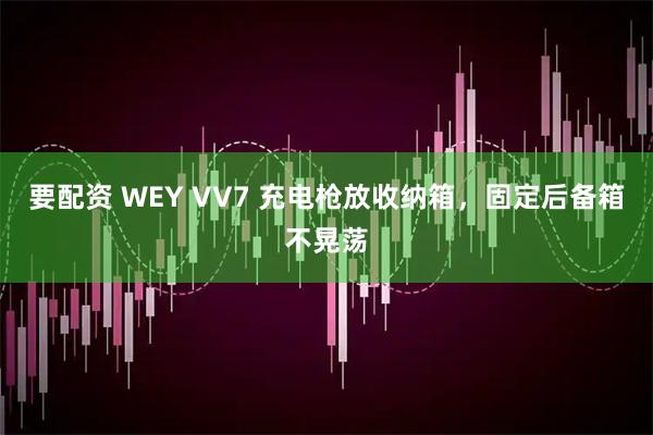 要配资 WEY VV7 充电枪放收纳箱，固定后备箱不晃荡