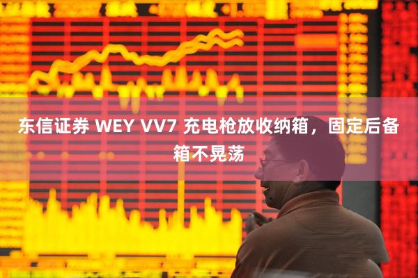 东信证券 WEY VV7 充电枪放收纳箱，固定后备箱不晃荡