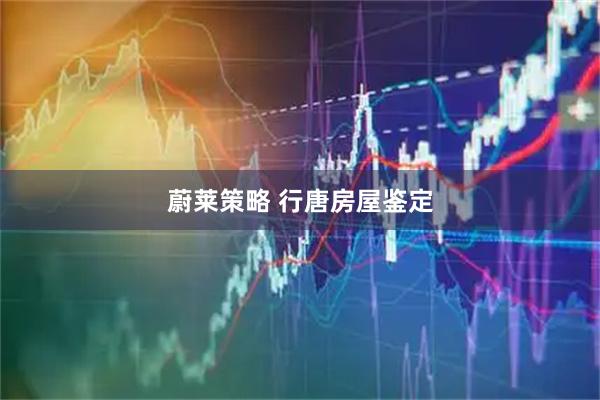 蔚莱策略 行唐房屋鉴定