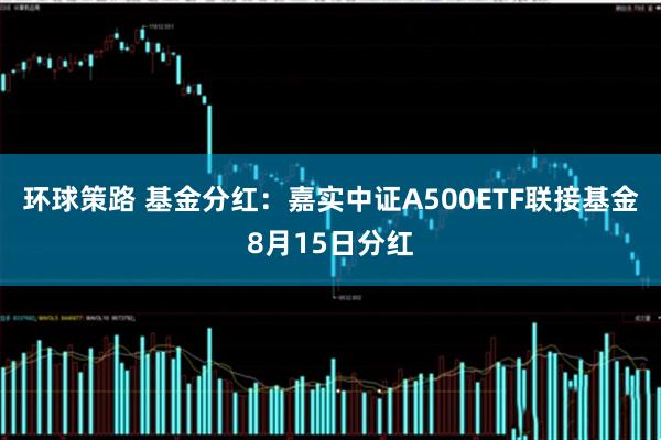 环球策路 基金分红:嘉实中证A500ETF联接基金8月15日分红