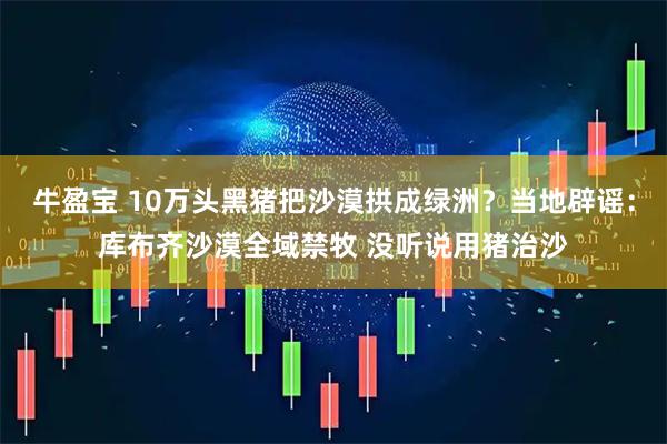牛盈宝 10万头黑猪把沙漠拱成绿洲？当地辟谣：库布齐沙漠全域禁牧 没听说用猪治沙