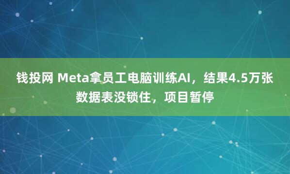 钱投网 Meta拿员工电脑训练AI，结果4.5万张数据表没锁住，项目暂停